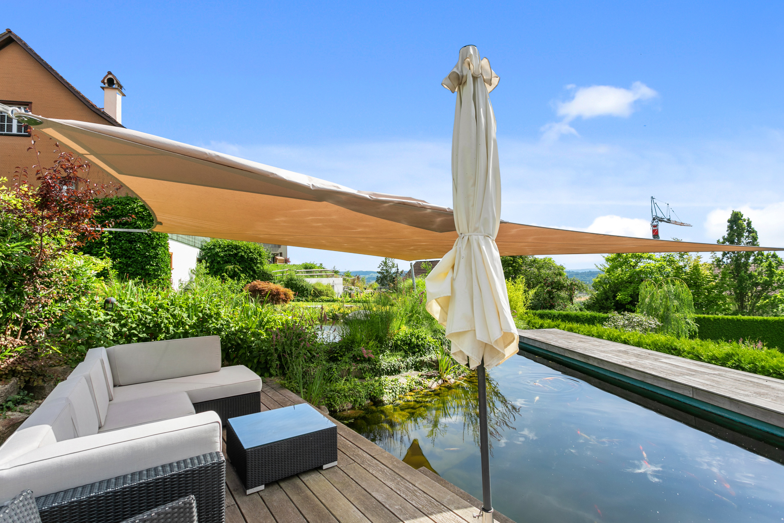 Biotop mit wertvollen Koi-Fischen. Biotop mit wertvollen Koi-Fischen.