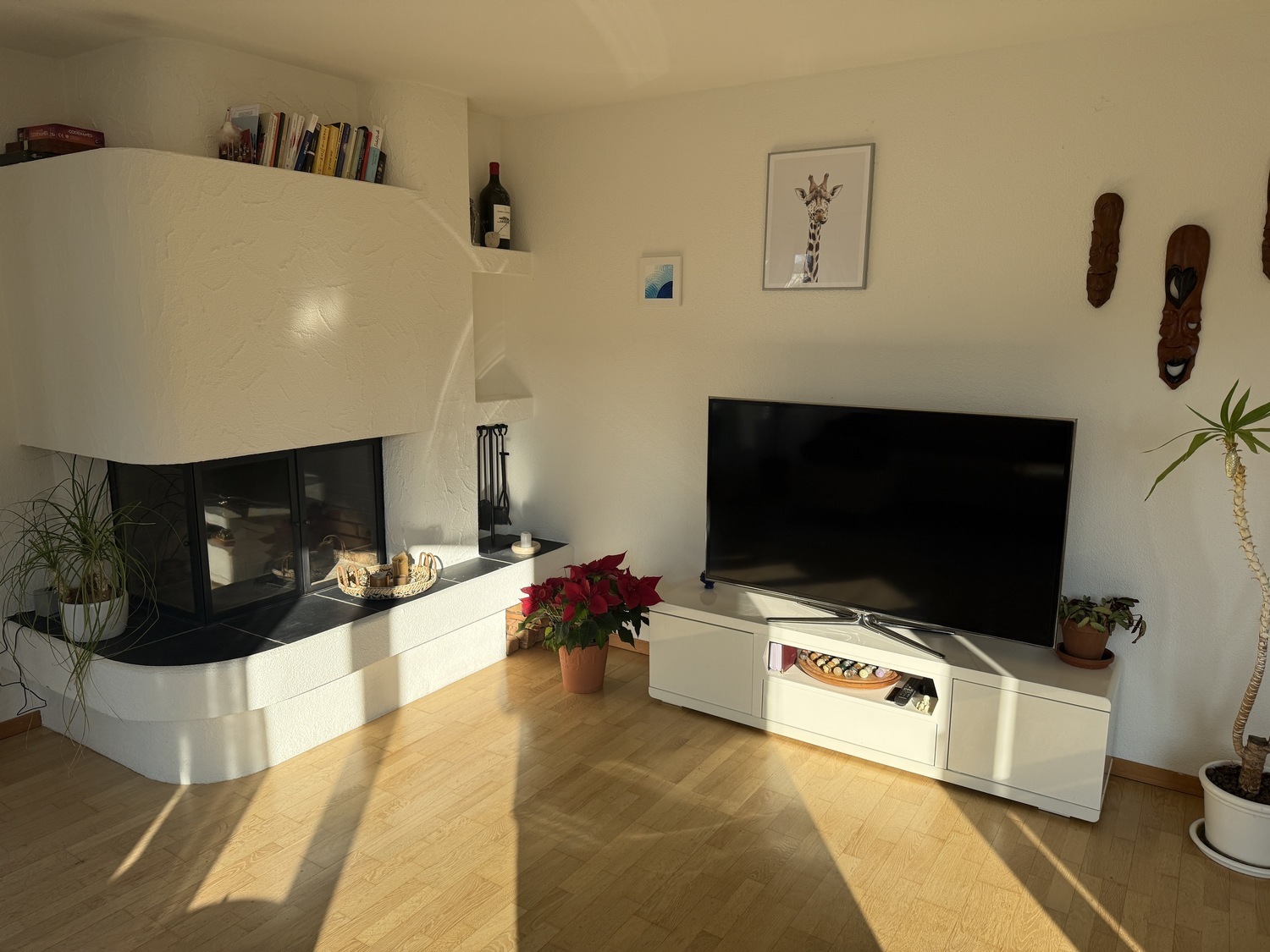 Picture 1