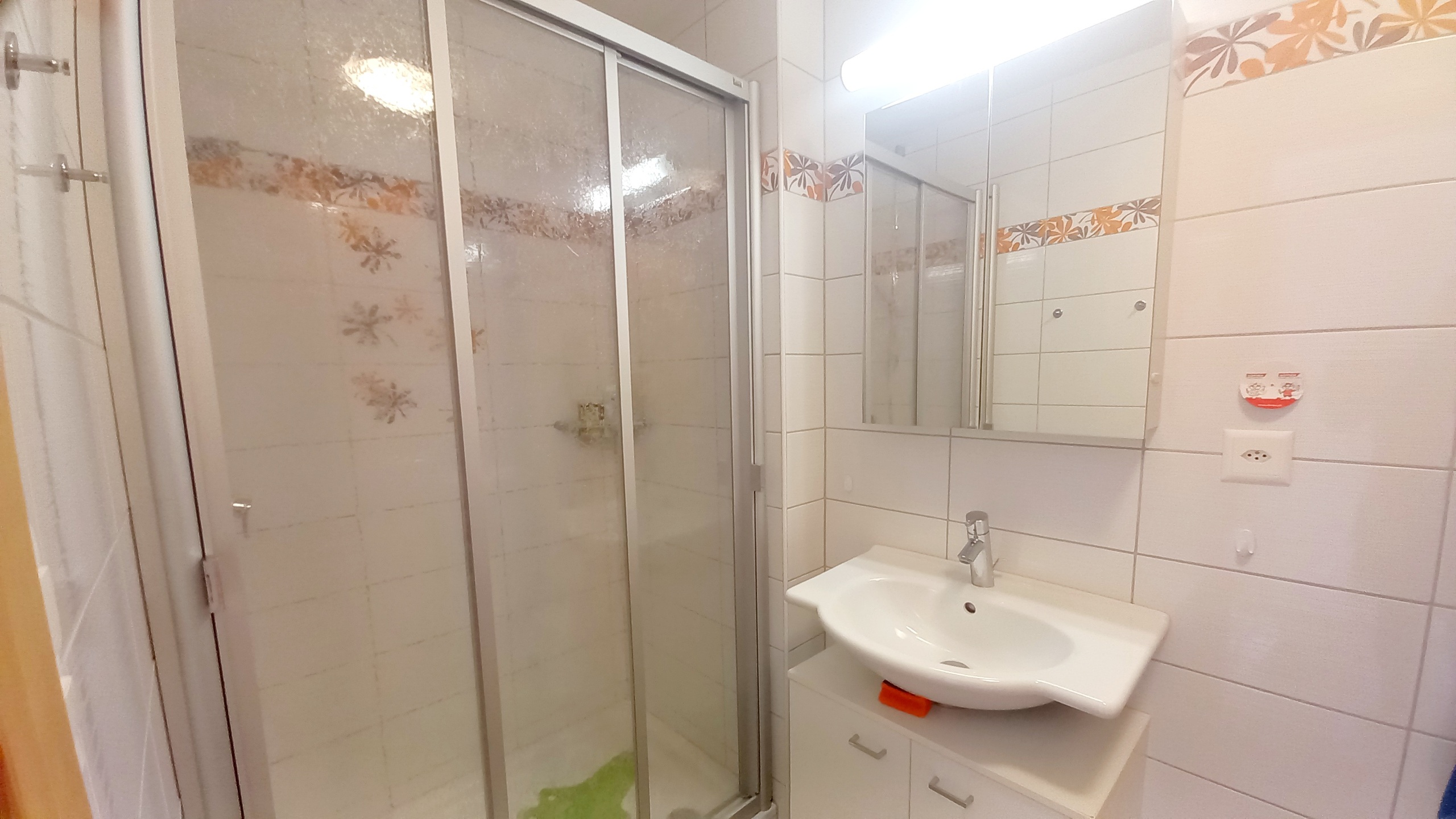 Douche / lavabo  Douche / lavabo