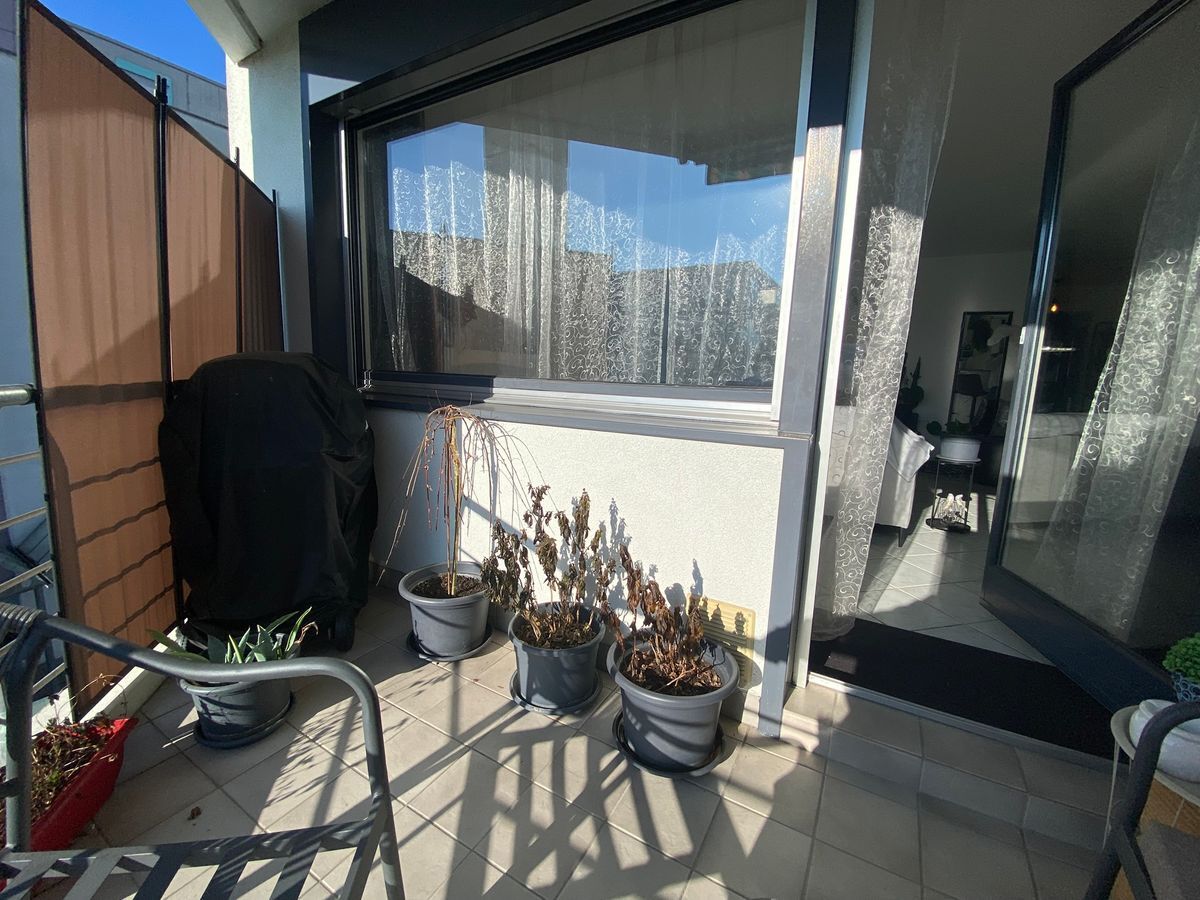 Premier coup d'oeil 4