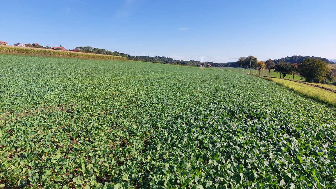 parcelle 104 parcelle 104