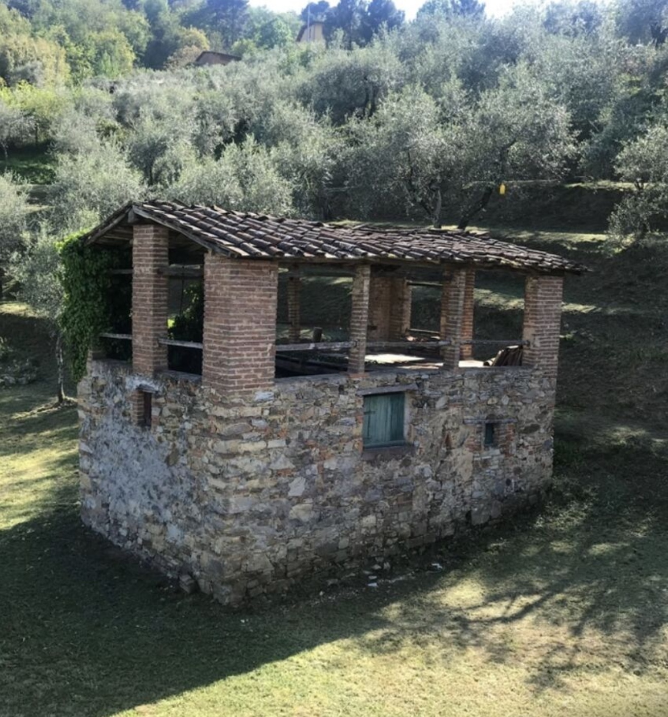 Aktuelle Bauten auf dem Grunstück Aktuelle Bauten auf dem Grunstück
