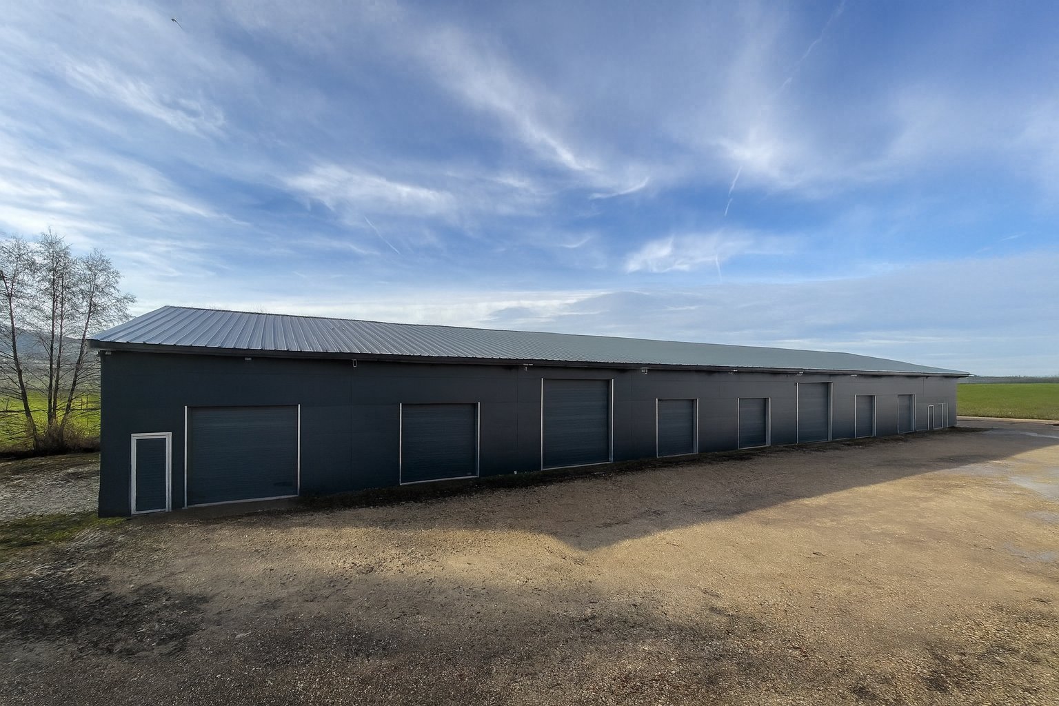 Immagine di copertina