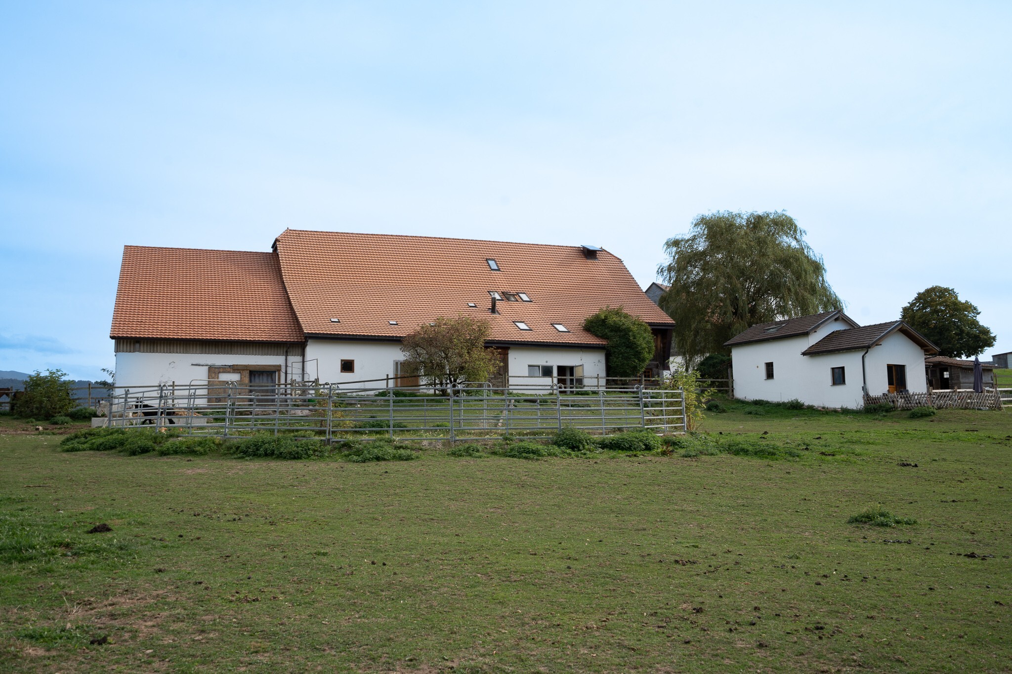 Foto 3