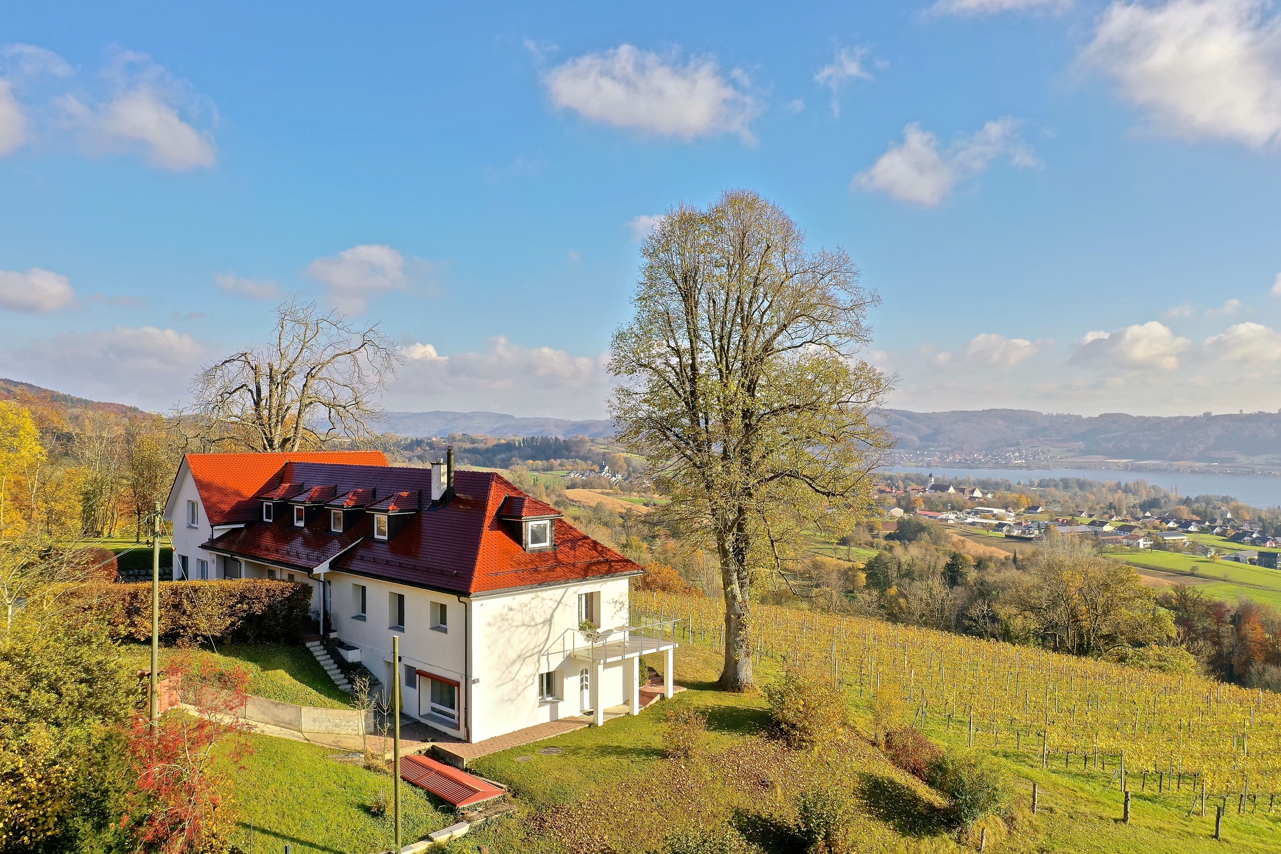 Königliche Wohnlage über den Reben.