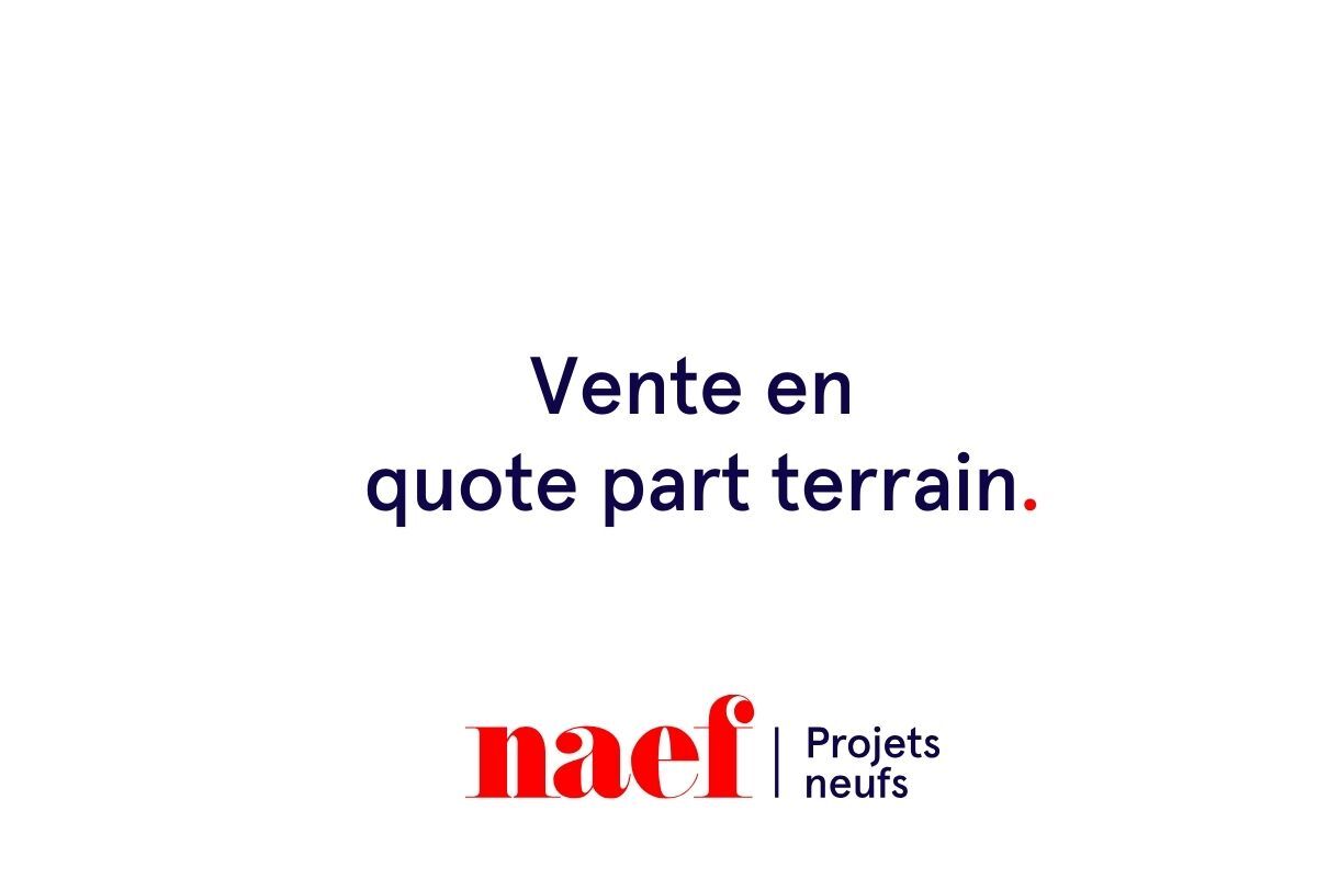 Immagine di copertina 2