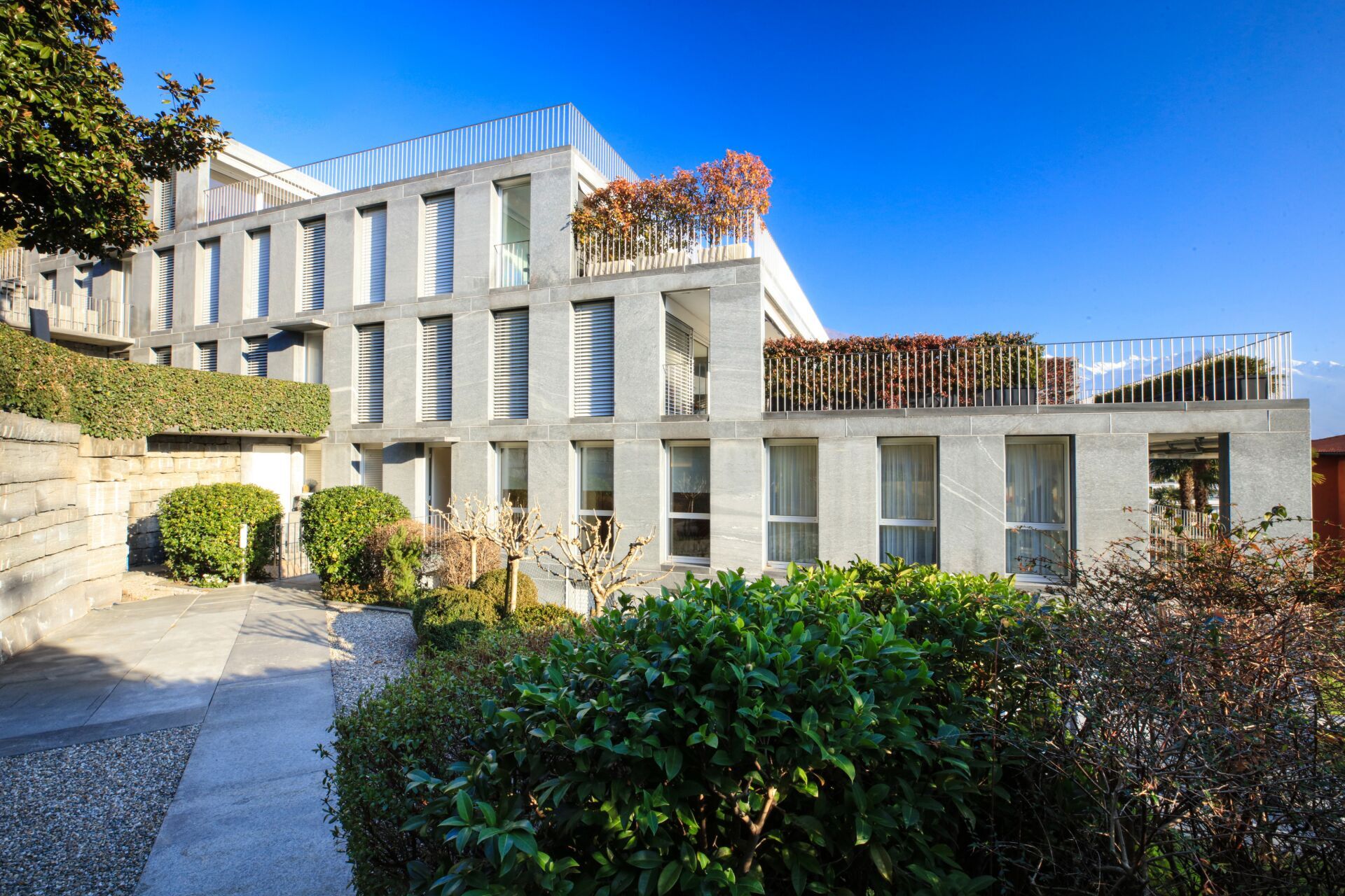 Immagine di copertina