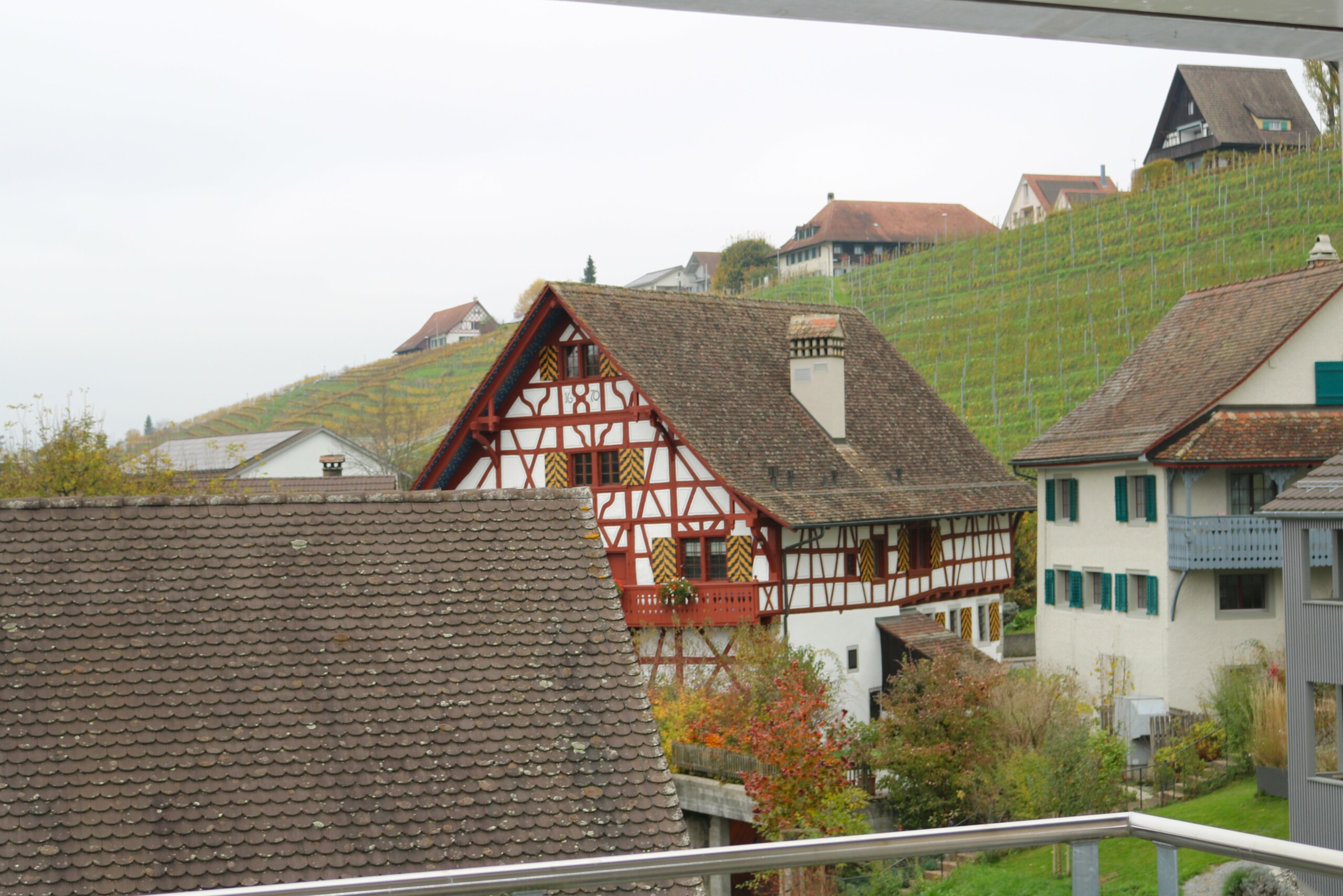 Sicht vom Studio in die Reben Sicht vom Studio in die Reben