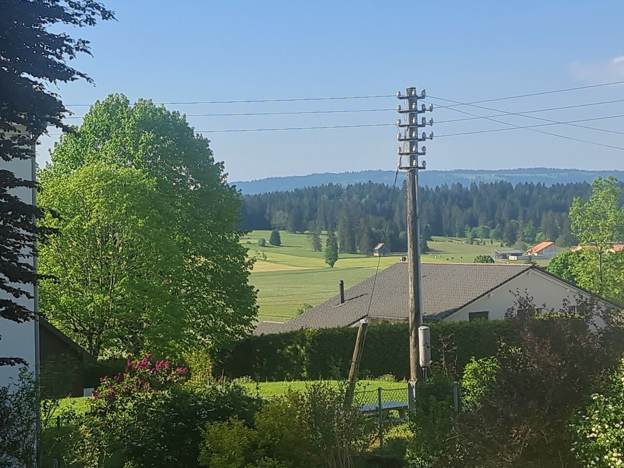 Foto 11