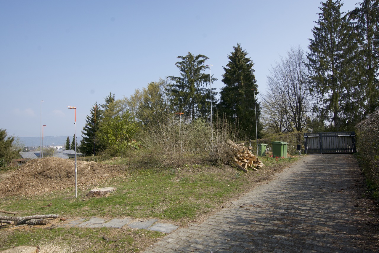 Picture 1