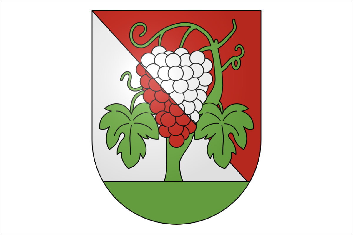Projet immobilier à Grandvaux, blason de Bourg-en-Lavaux