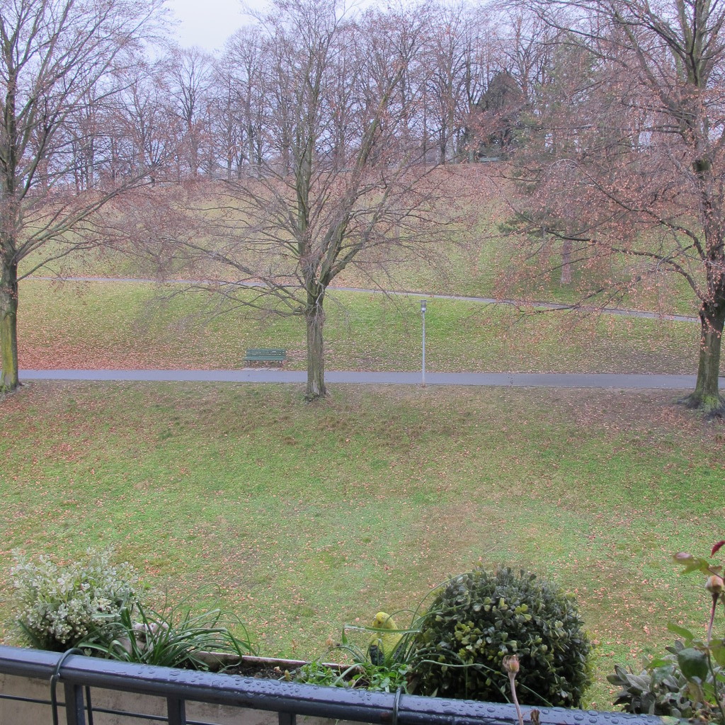 Vue sur le parc de Valency depuis la cuisine