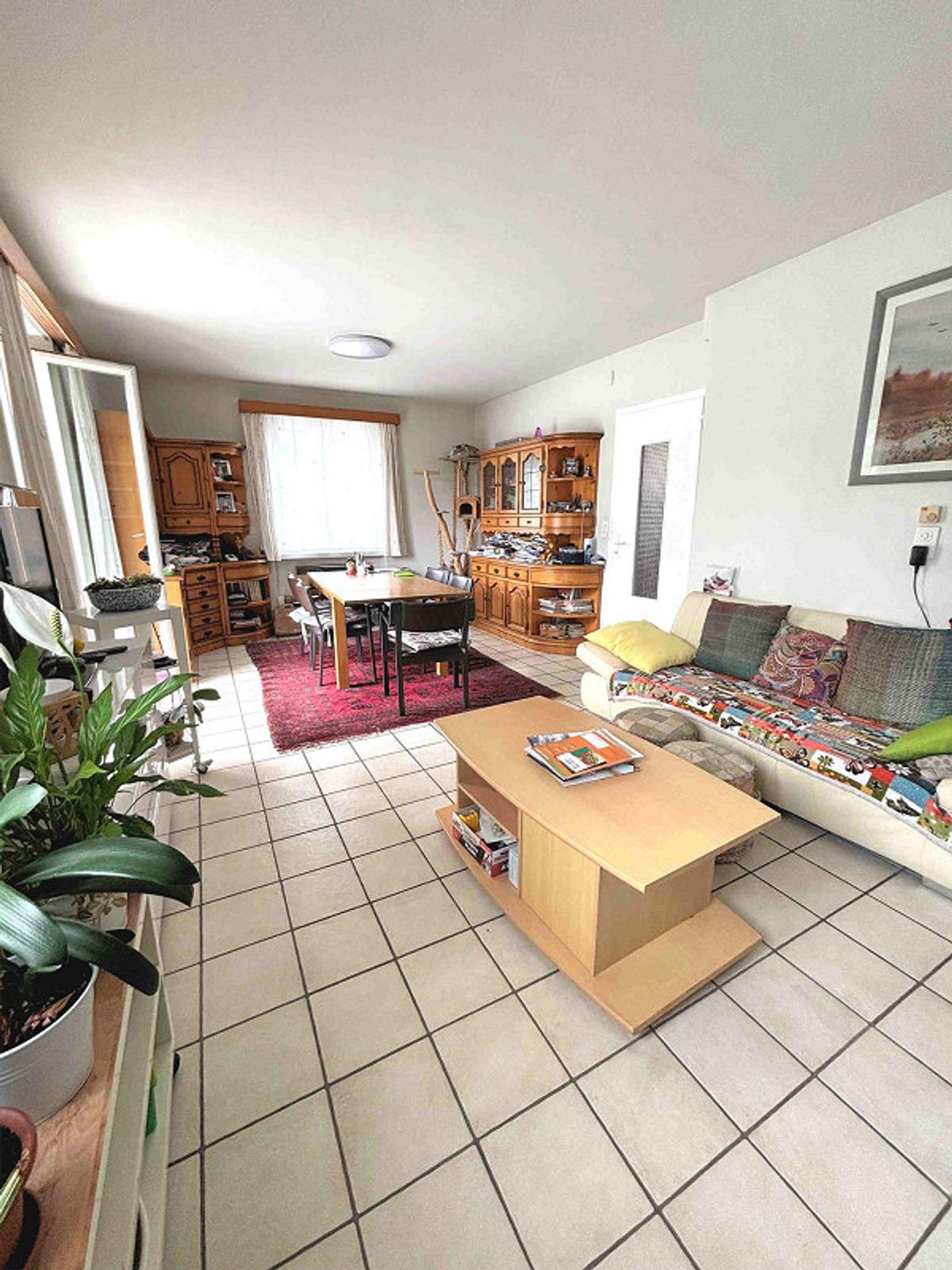Foto 5