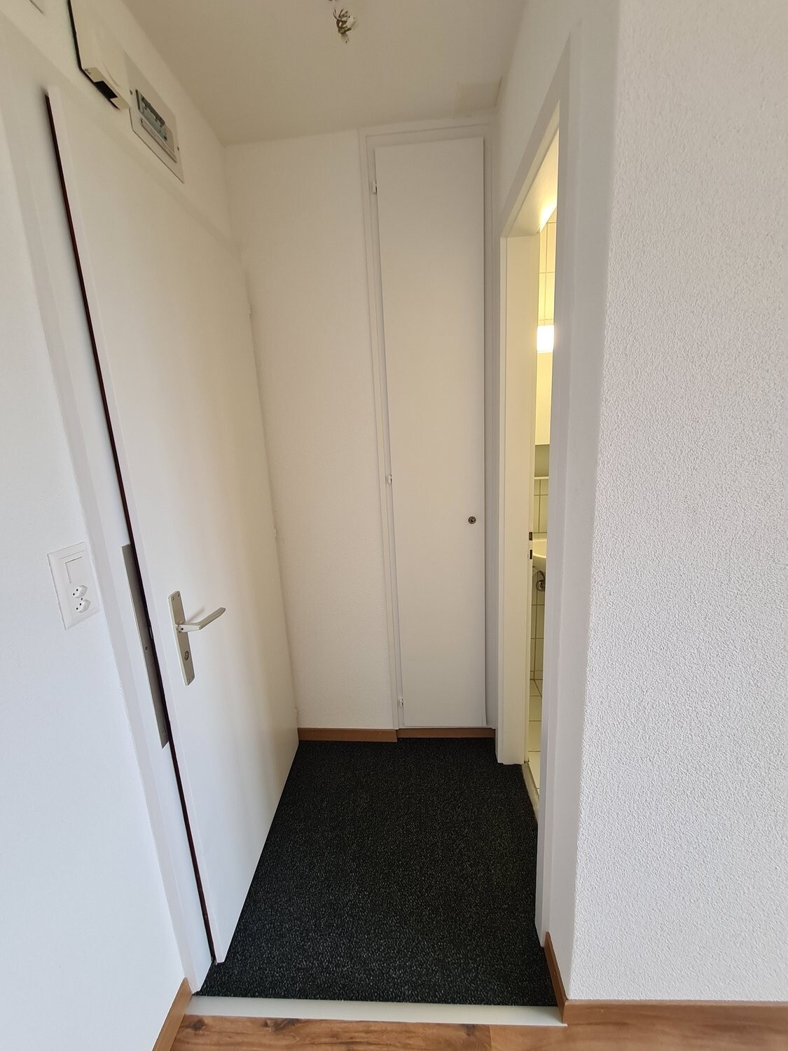 Picture 5