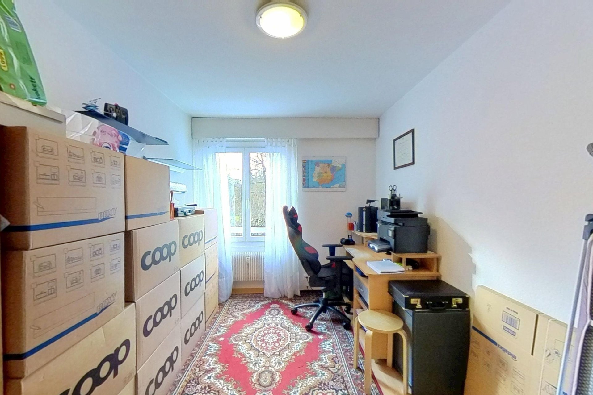 Photo 8