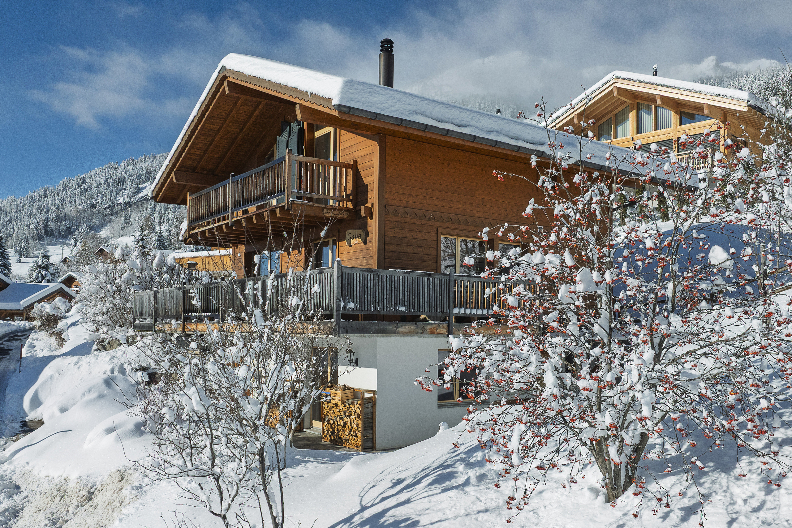 Immagine di copertina