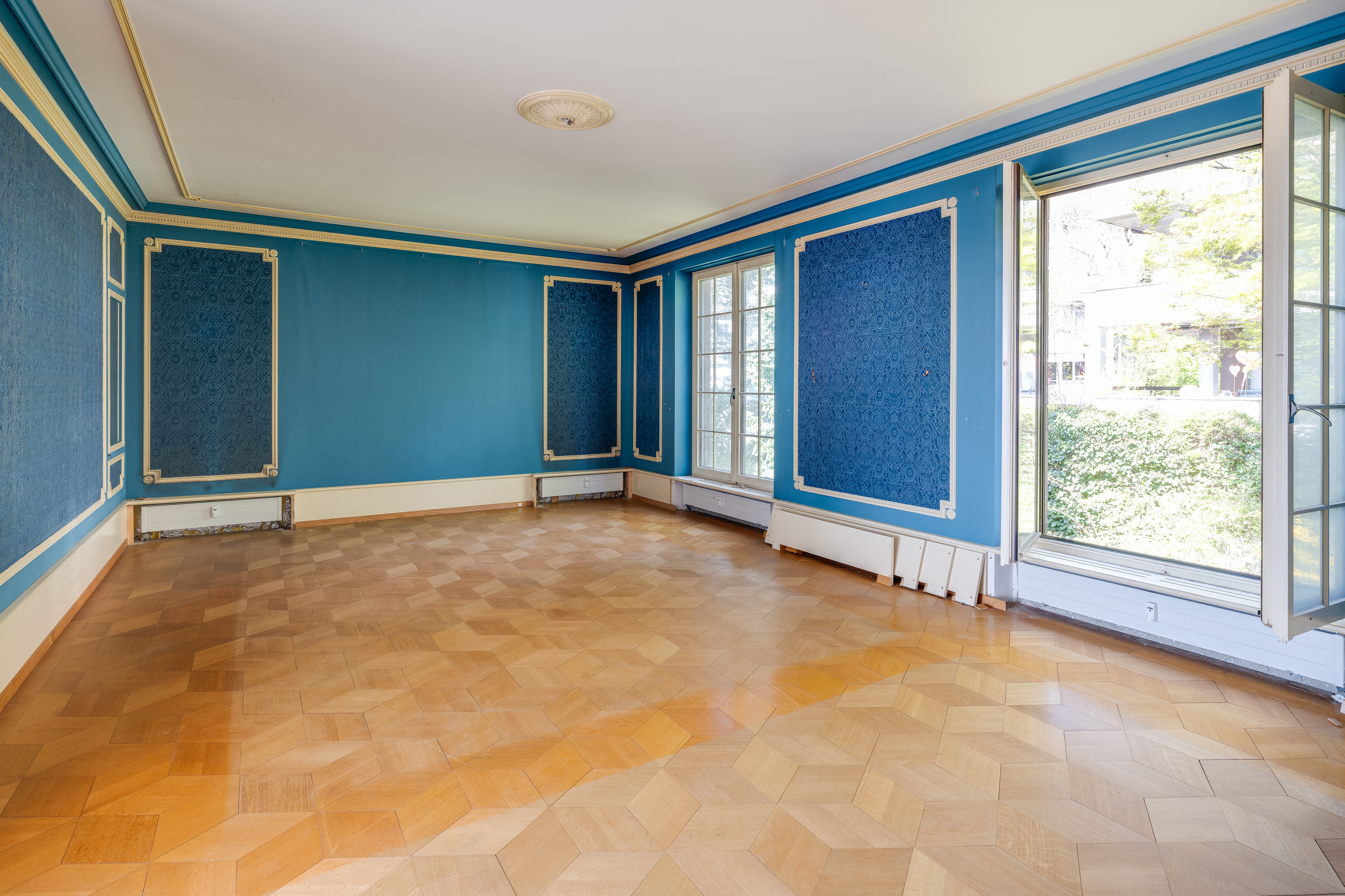 SALON BLEU SALON BLEU