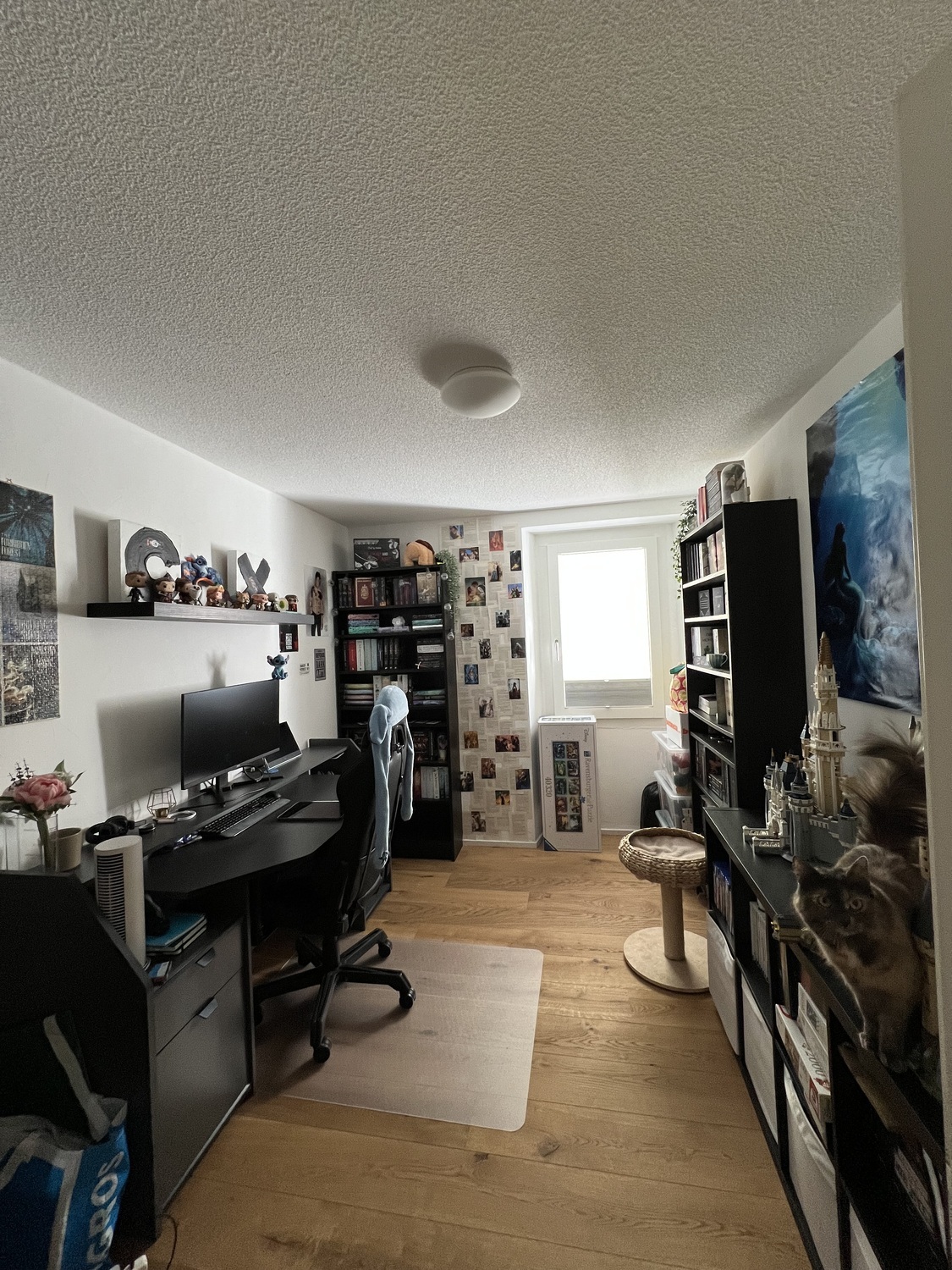 Foto 3