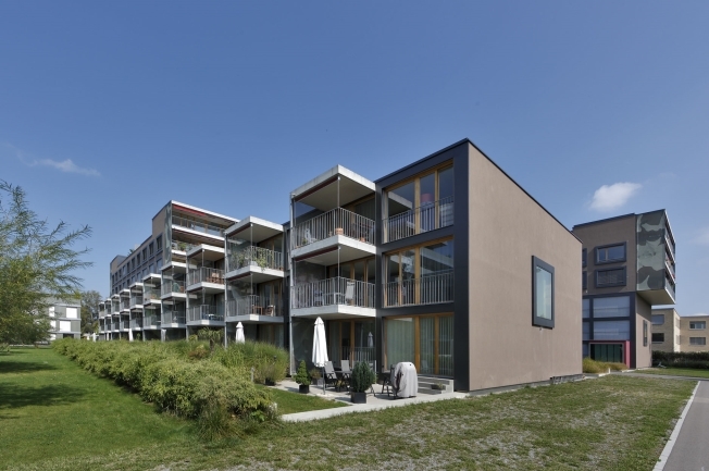 Immagine di copertina