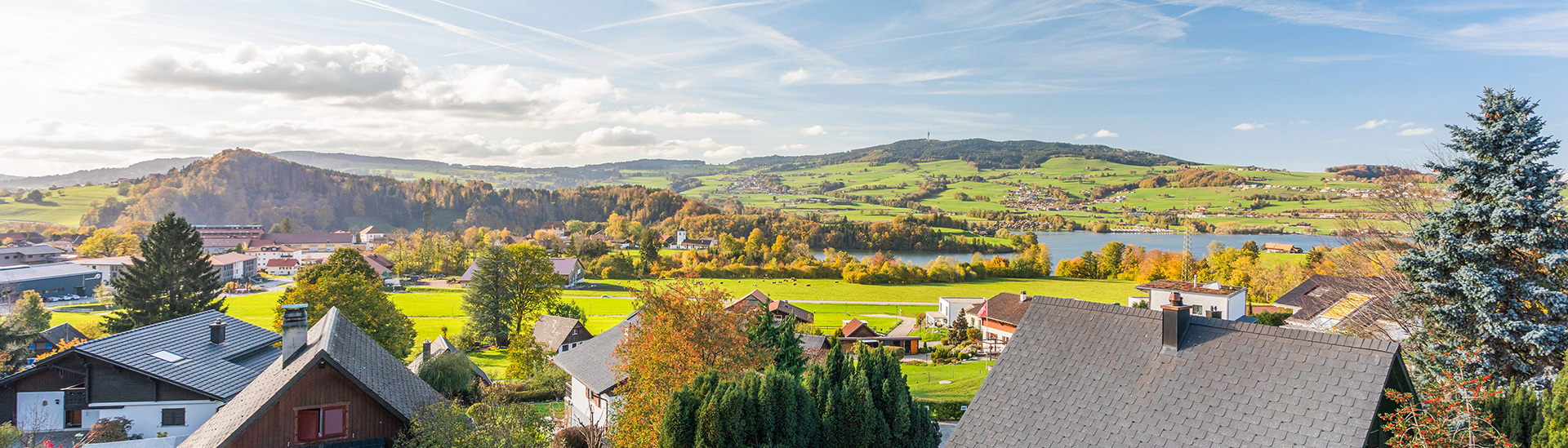 Maison à vendre en Gruyère