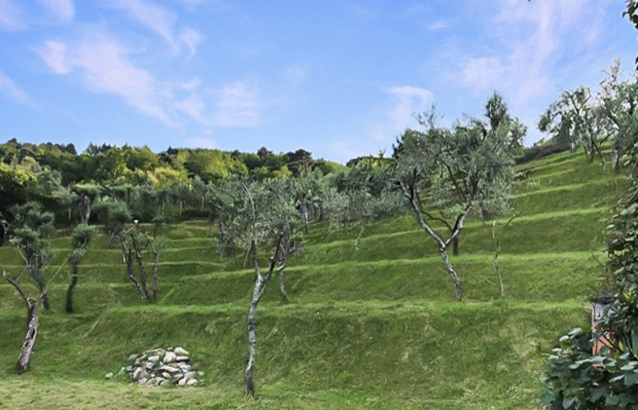 Terrassiertes Grundstück Terrassiertes Grundstück