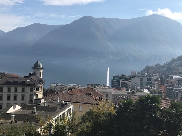 Immagine di copertina