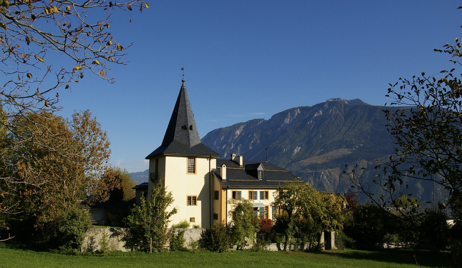 Photo non contractuelle 