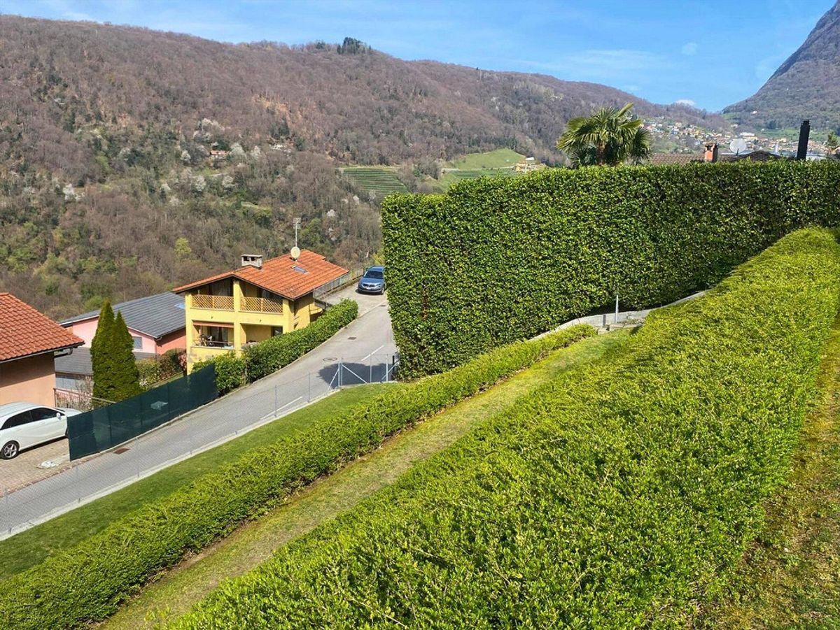 Foto 6