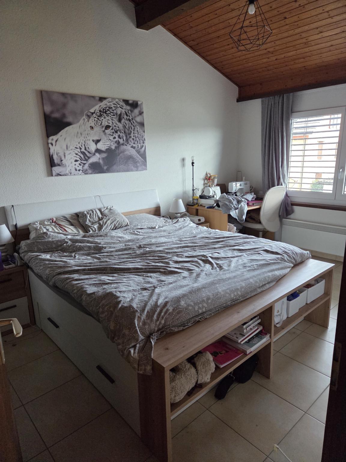 Picture 6