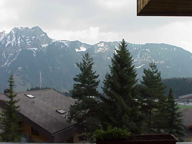 Photo 6