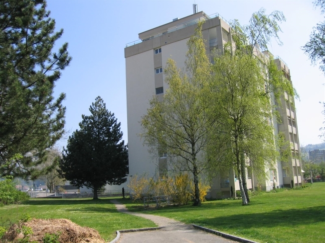 Immagine di copertina