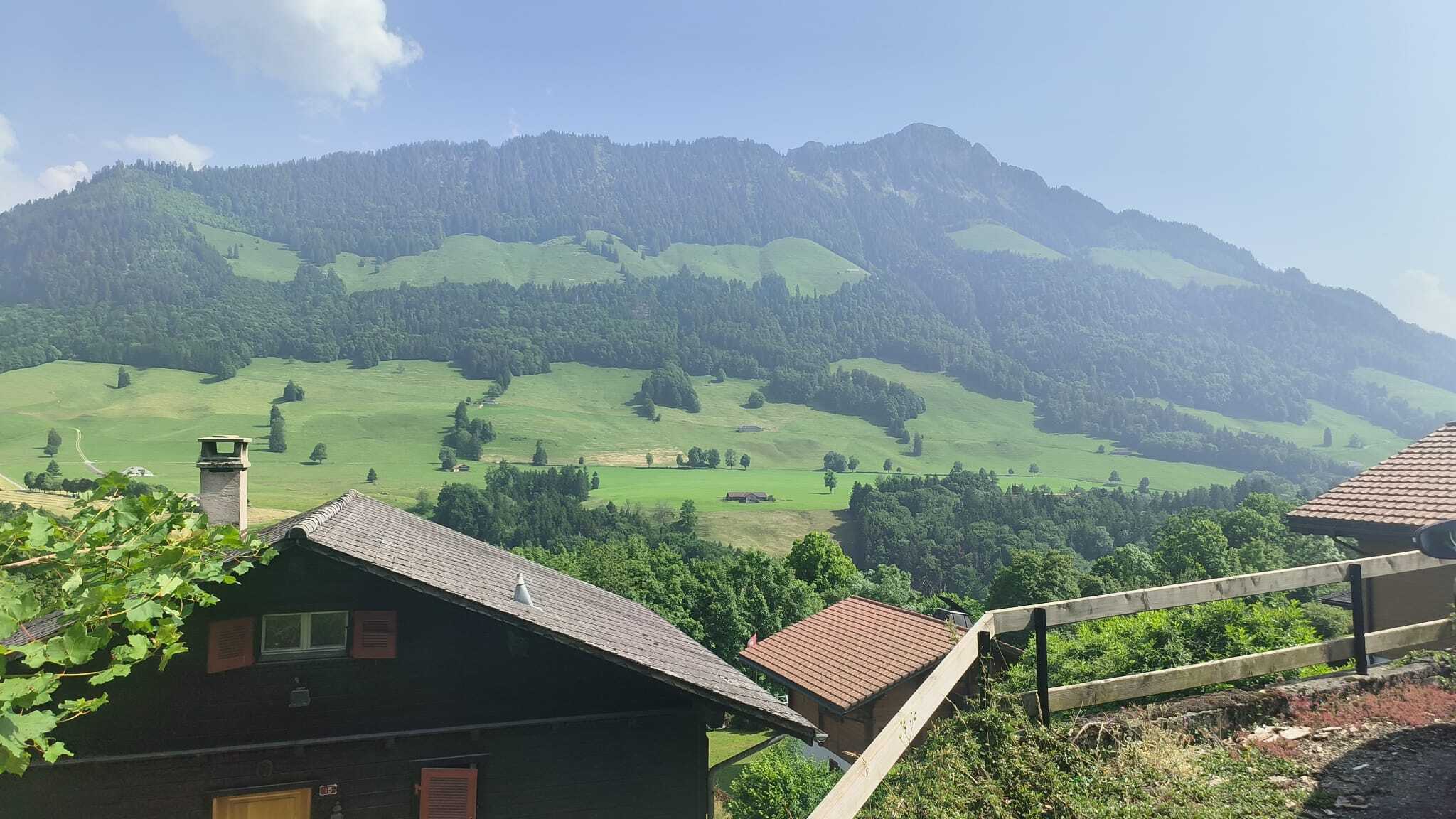 Premier coup d'oeil 1