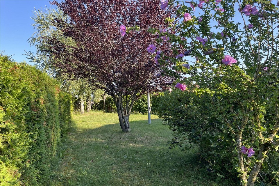 Premier coup d'oeil 1