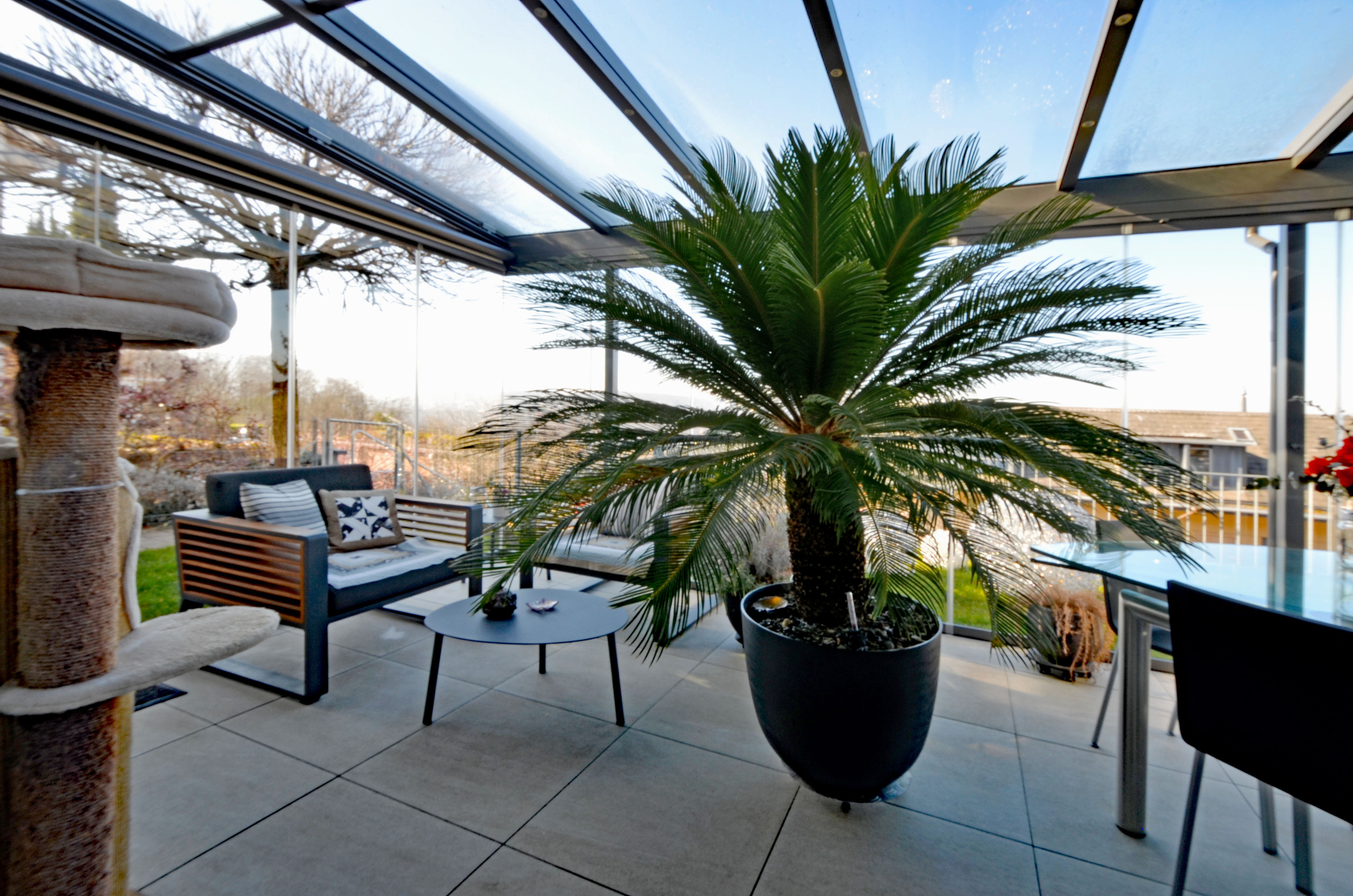 Interior view 5