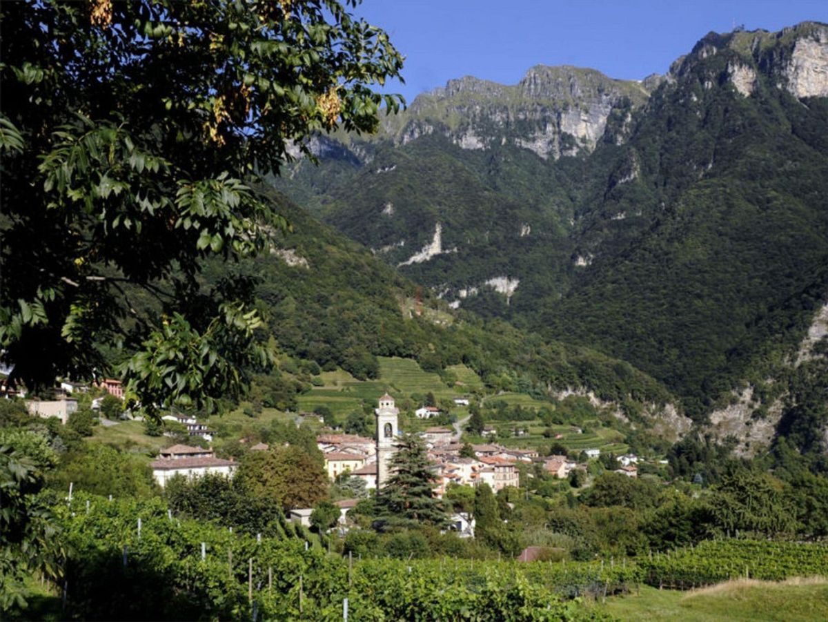 Foto 9