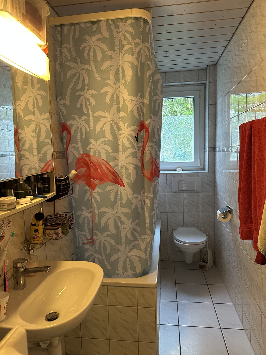 Photo 5