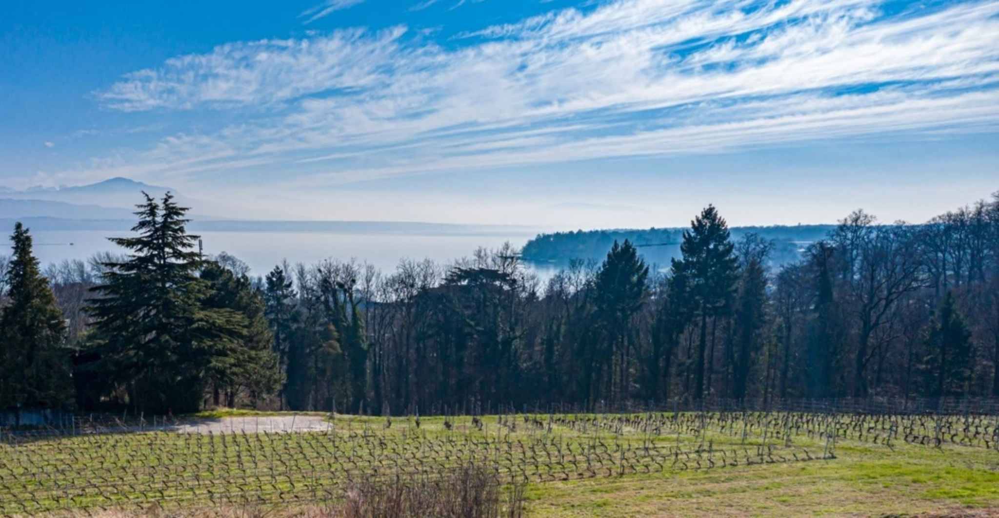 Premier coup d'oeil 1