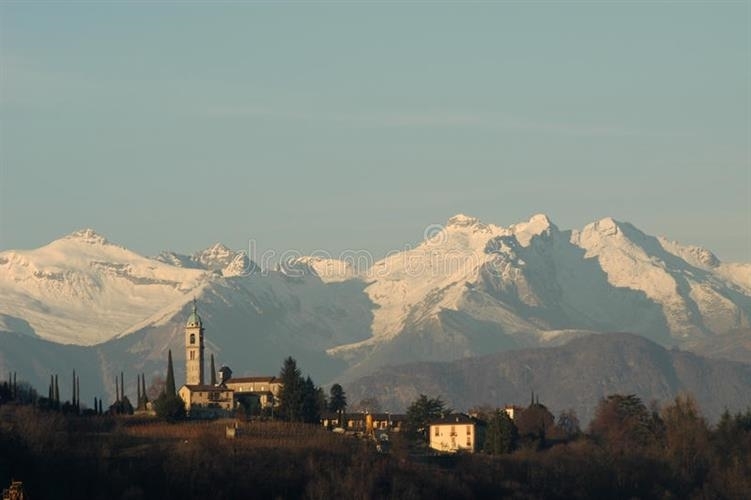 Immagine di copertina