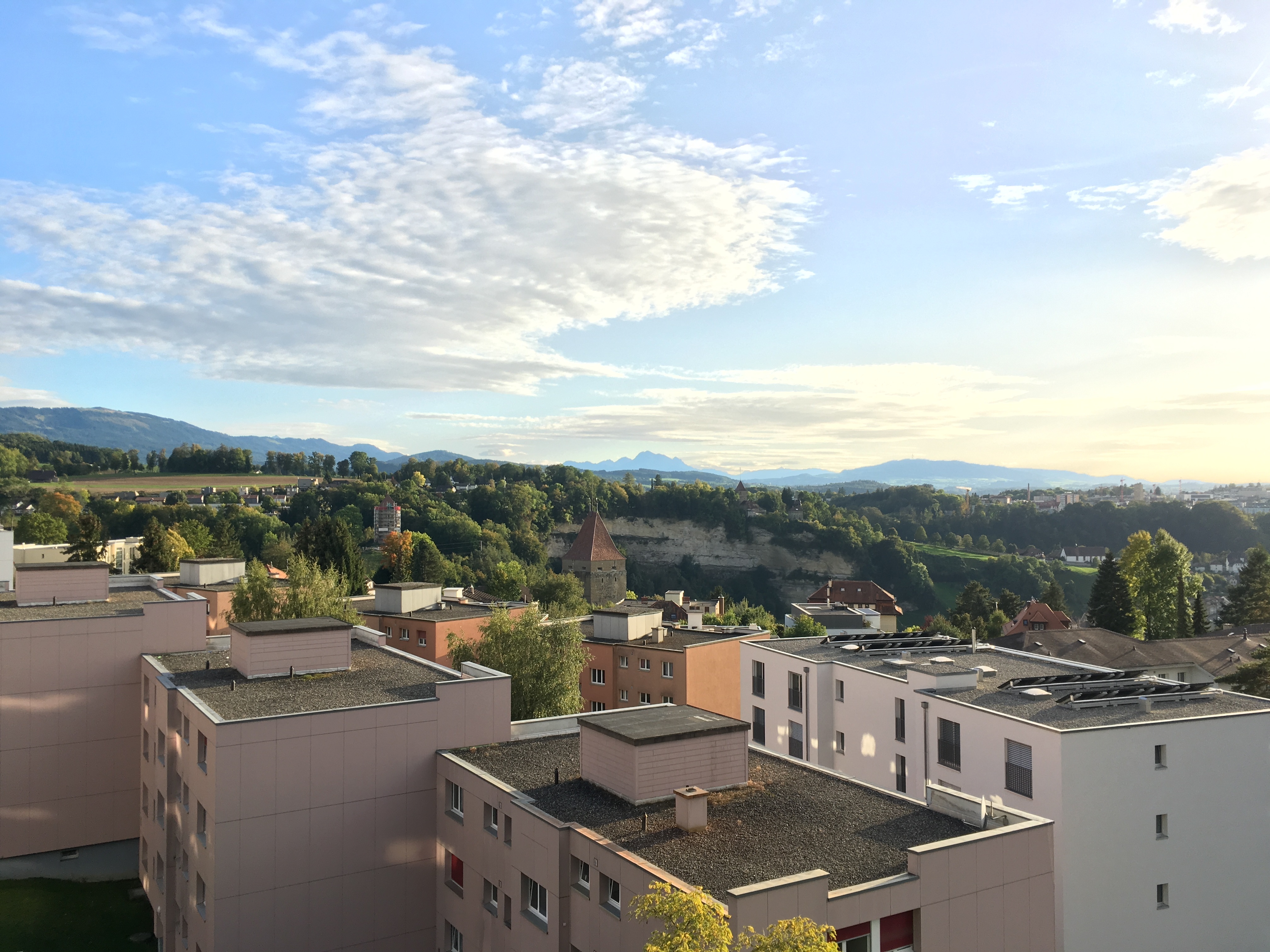 CNC IMMOBILIER SA - Témoignages 