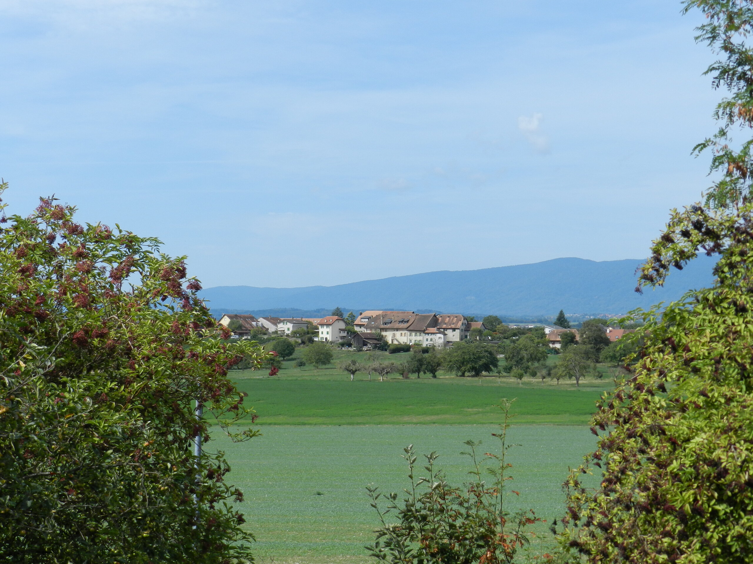 Vista esteriore 6