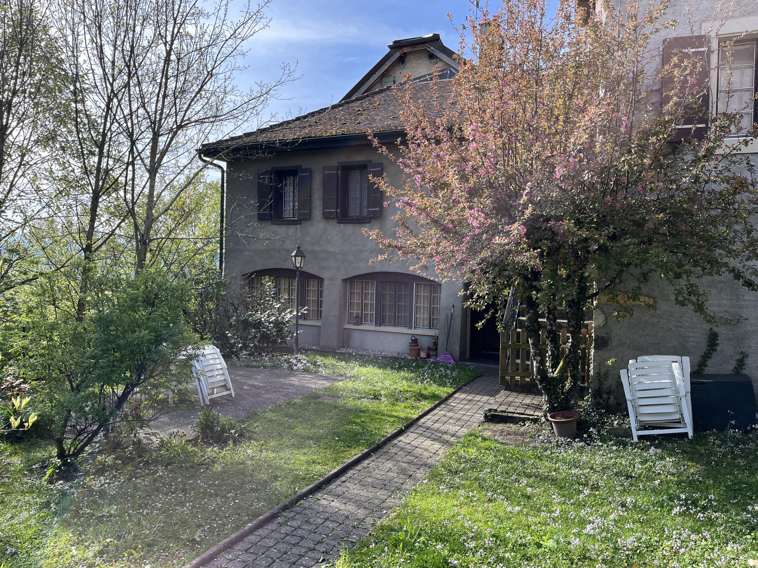 Firstview