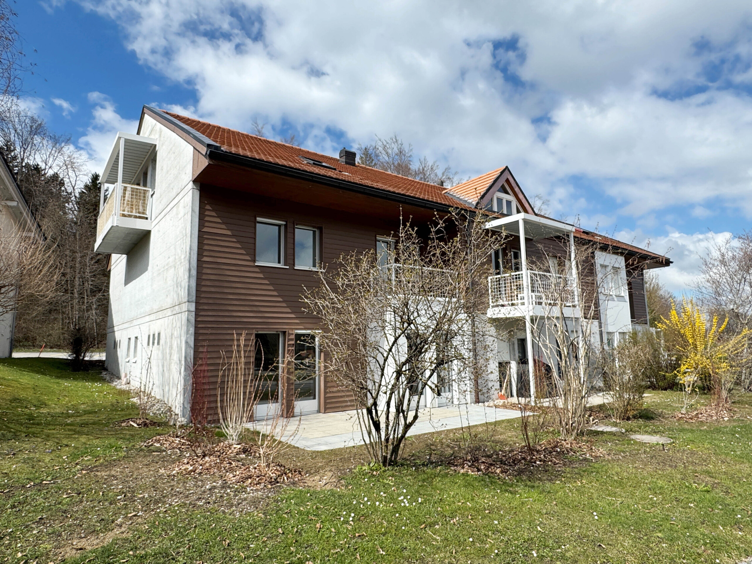 Immagine di copertina