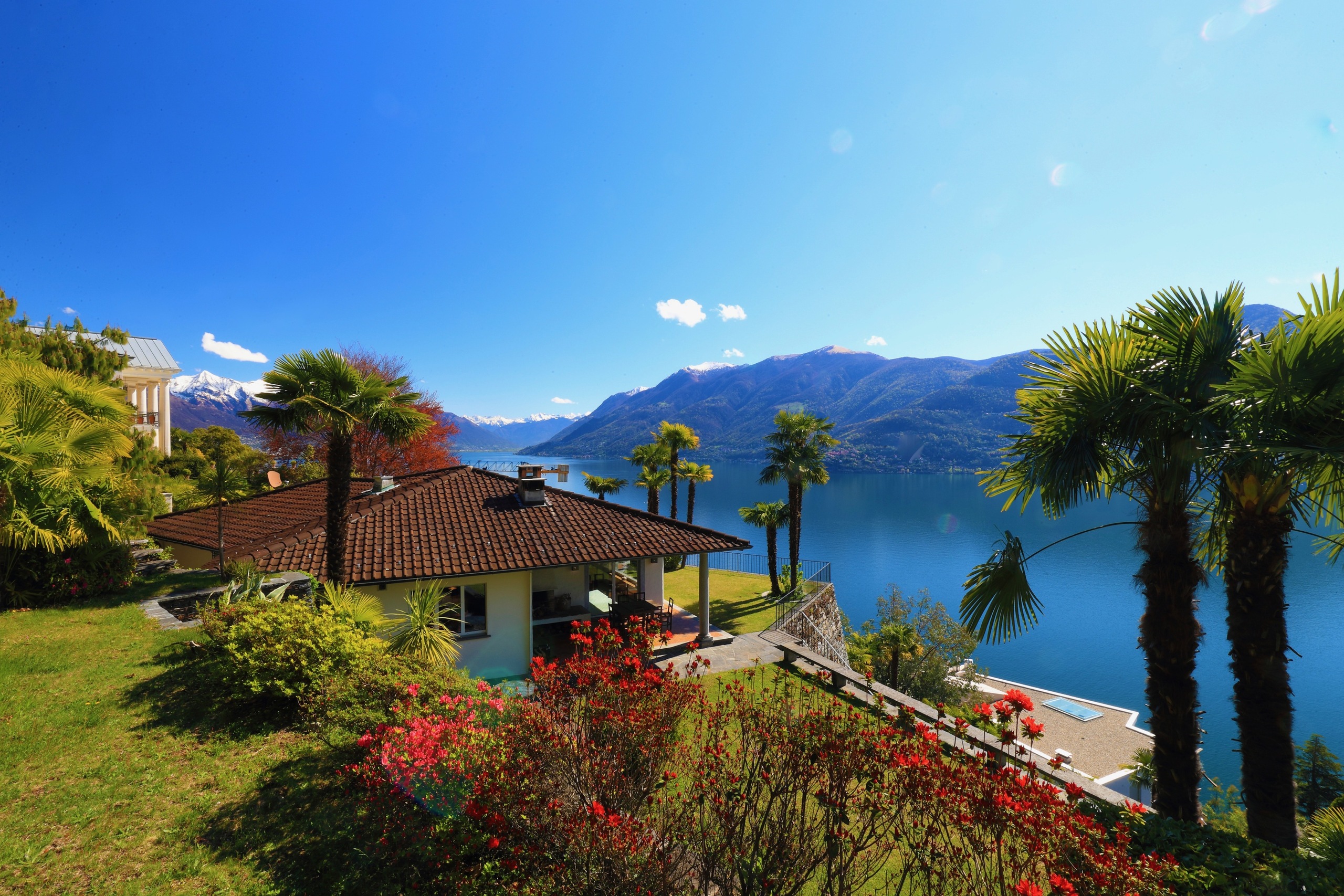 Immagine di copertina