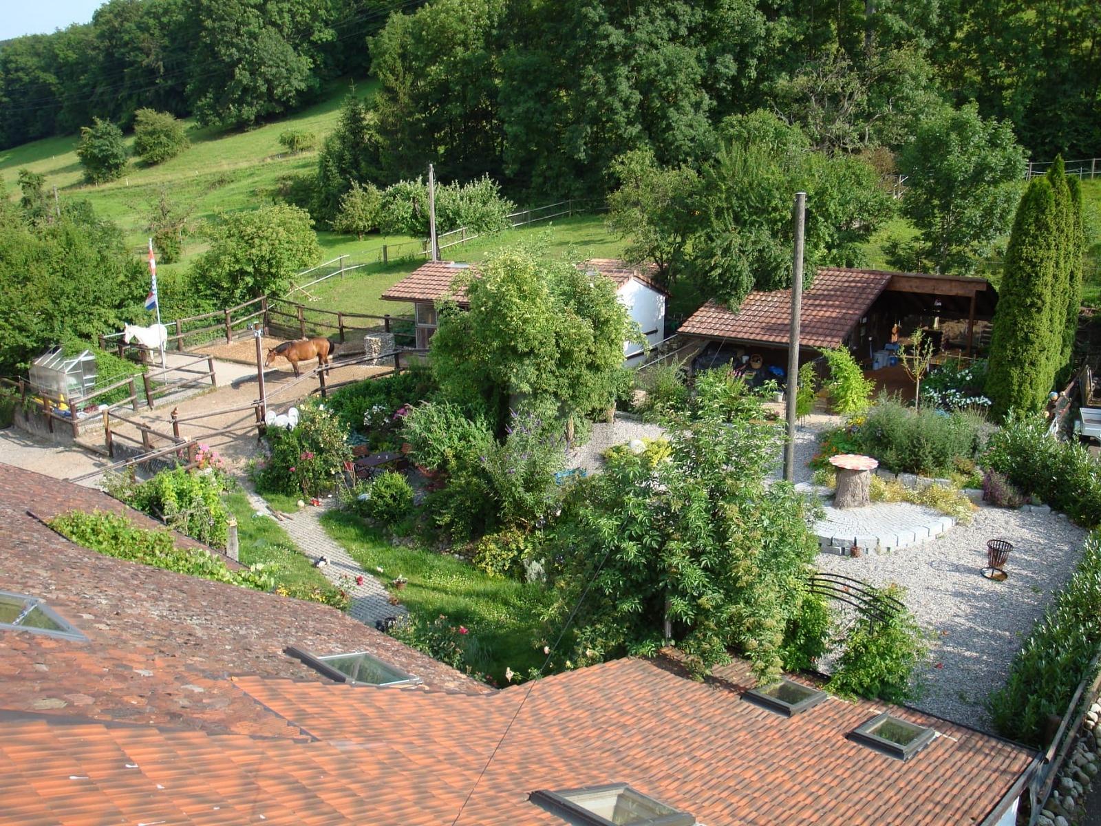 Photo 5