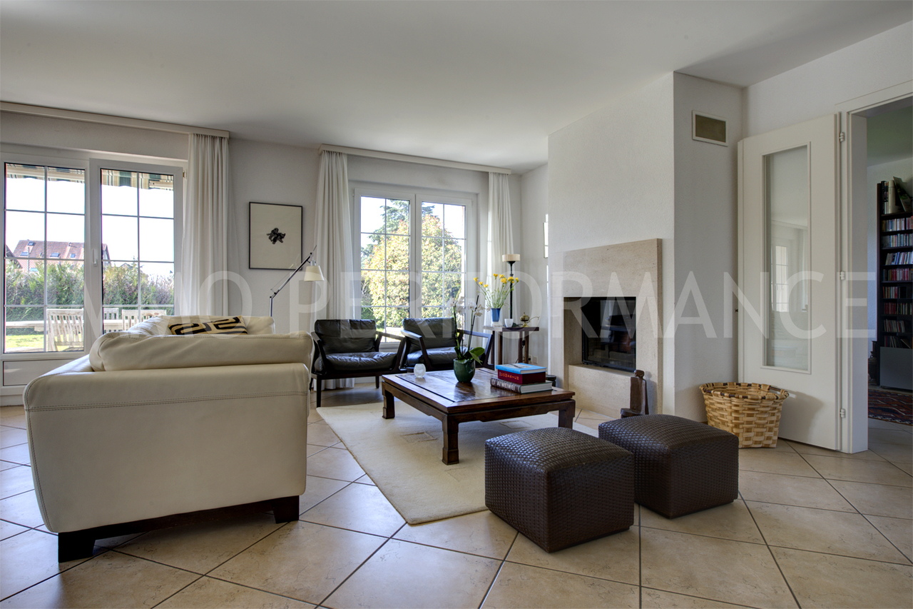 Séjour avec cheminée