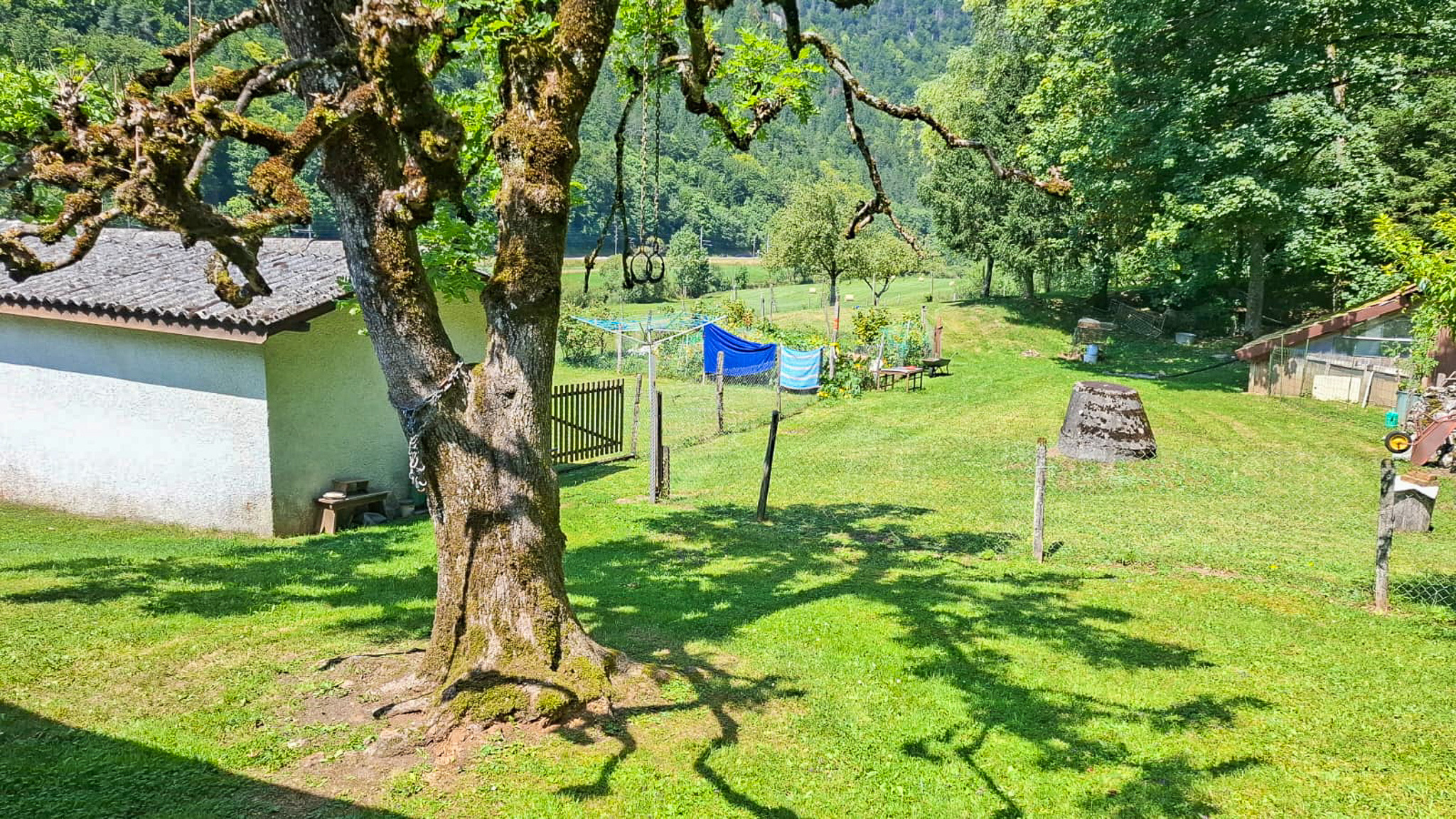 Jardin clôturé Jardin clôturé