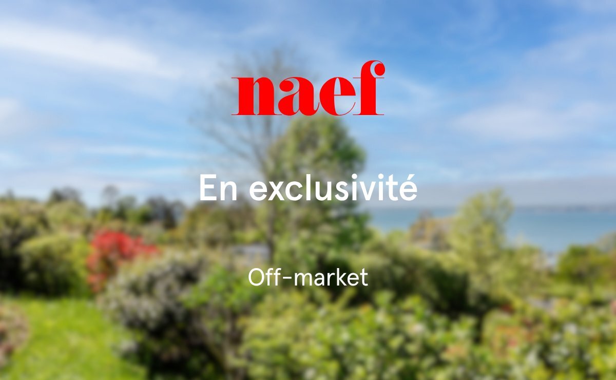 Immagine di copertina 2