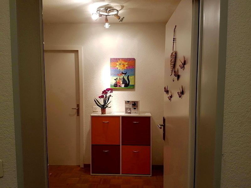 Picture 5