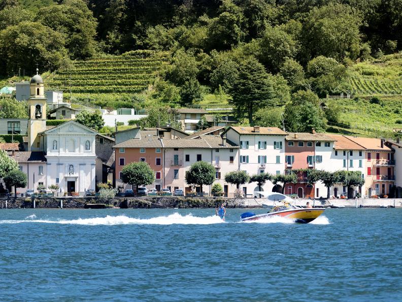 Immagine di copertina