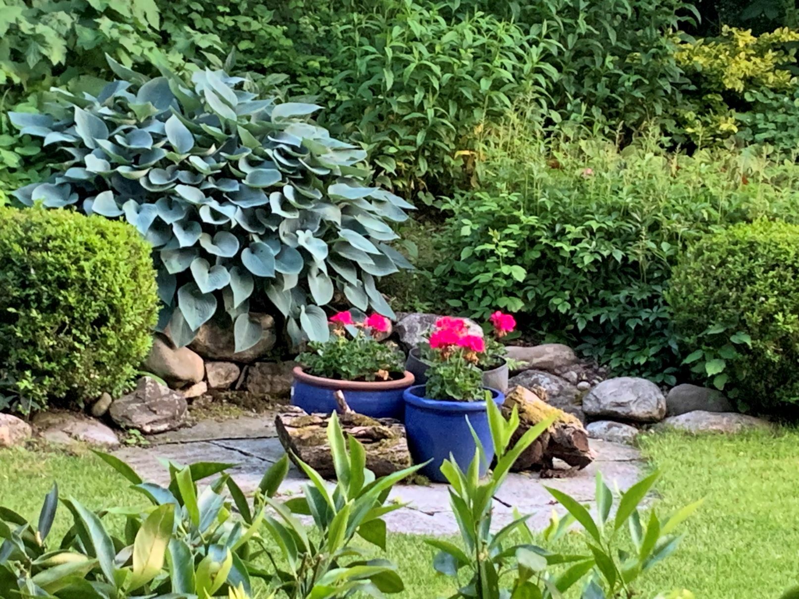 Foto 4